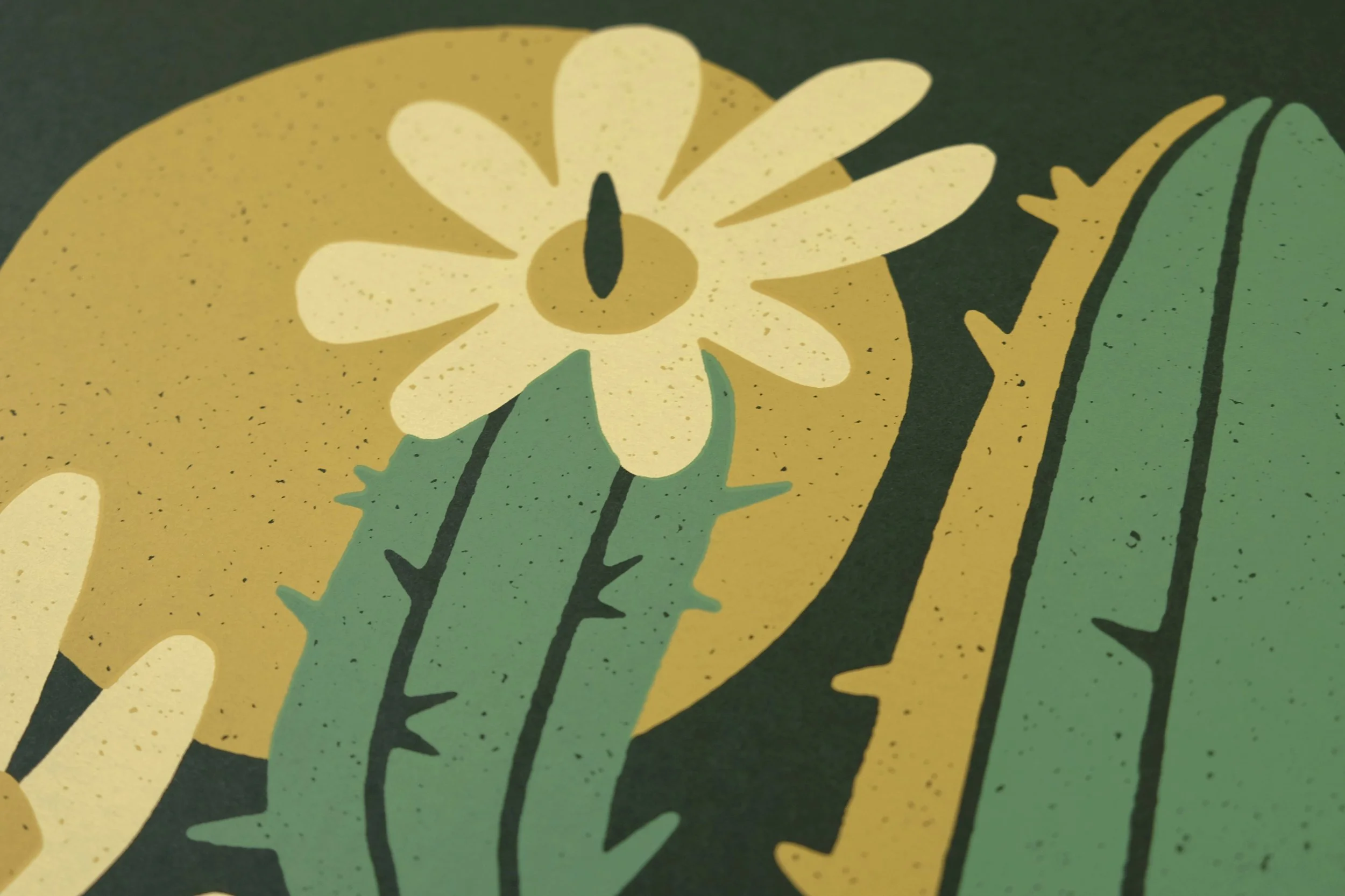 bloom_large_saguaro_pic_1.jpg