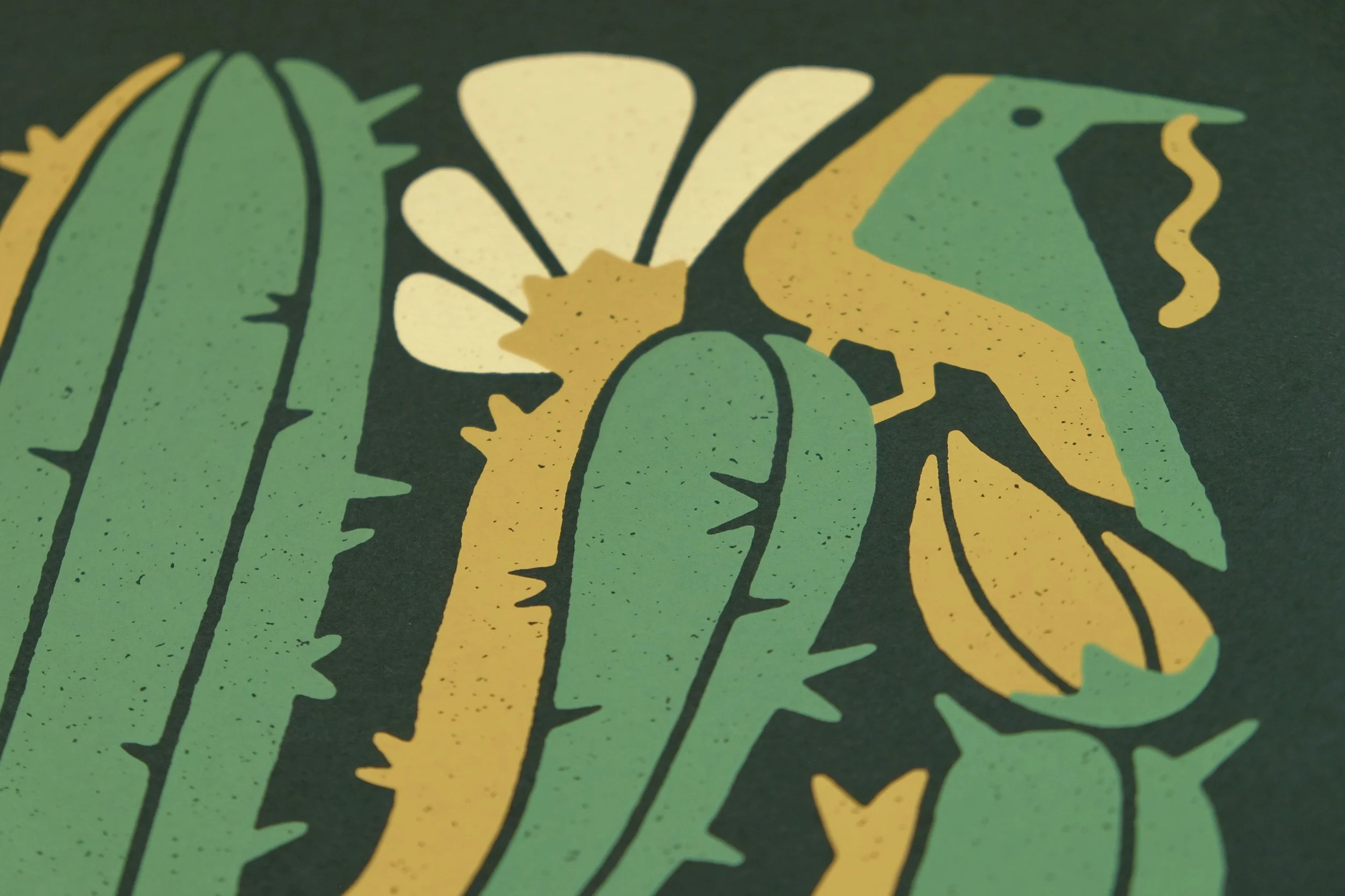 bloom_large_saguaro_pic_2.jpg