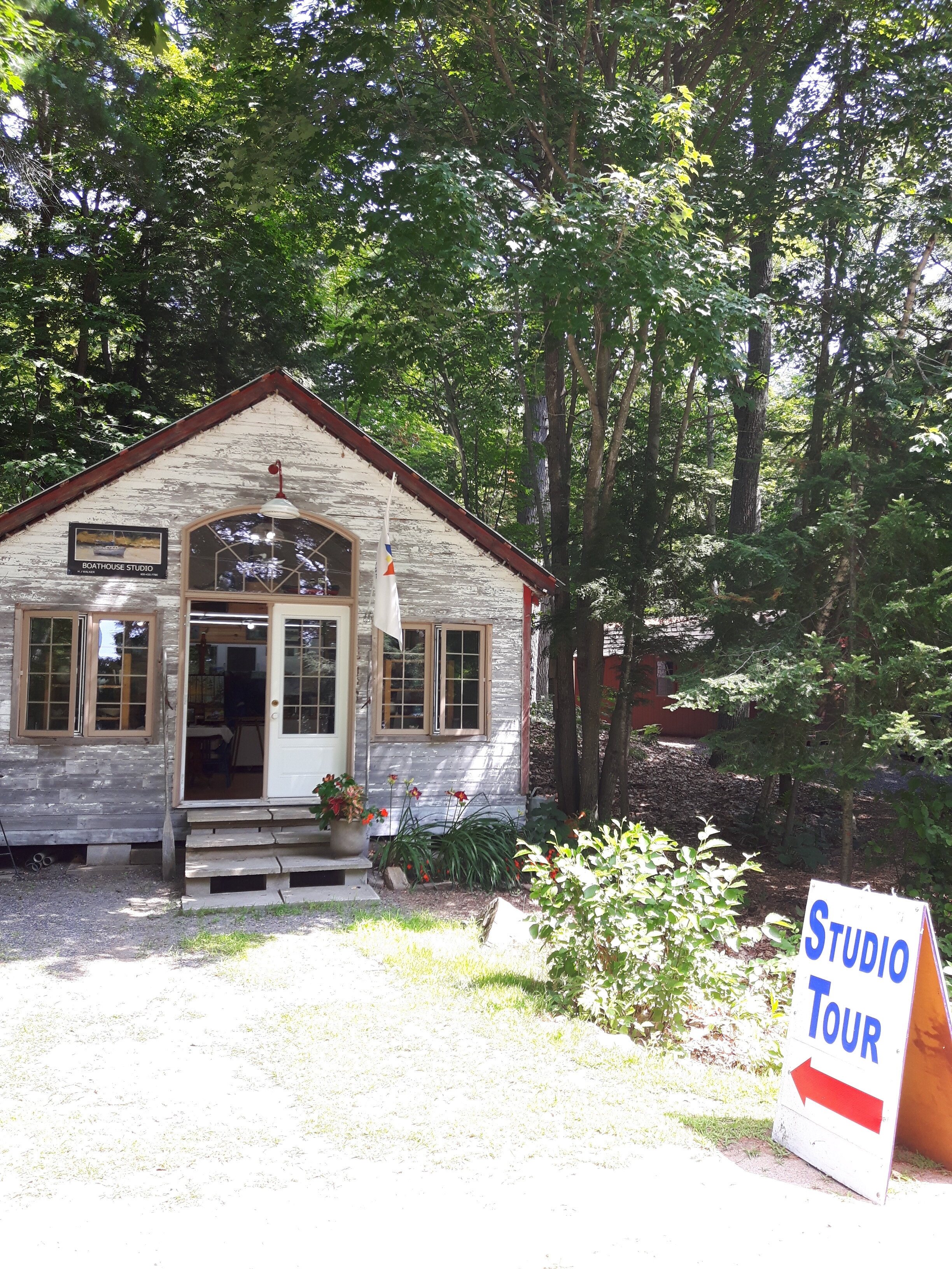 Tour de Forest studio tour