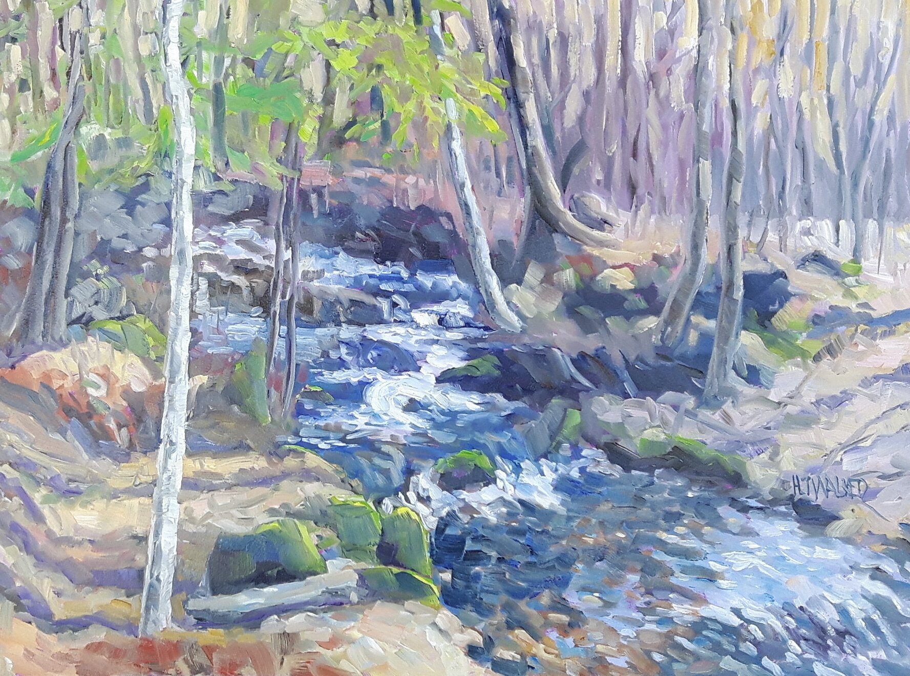 Barnum Creek