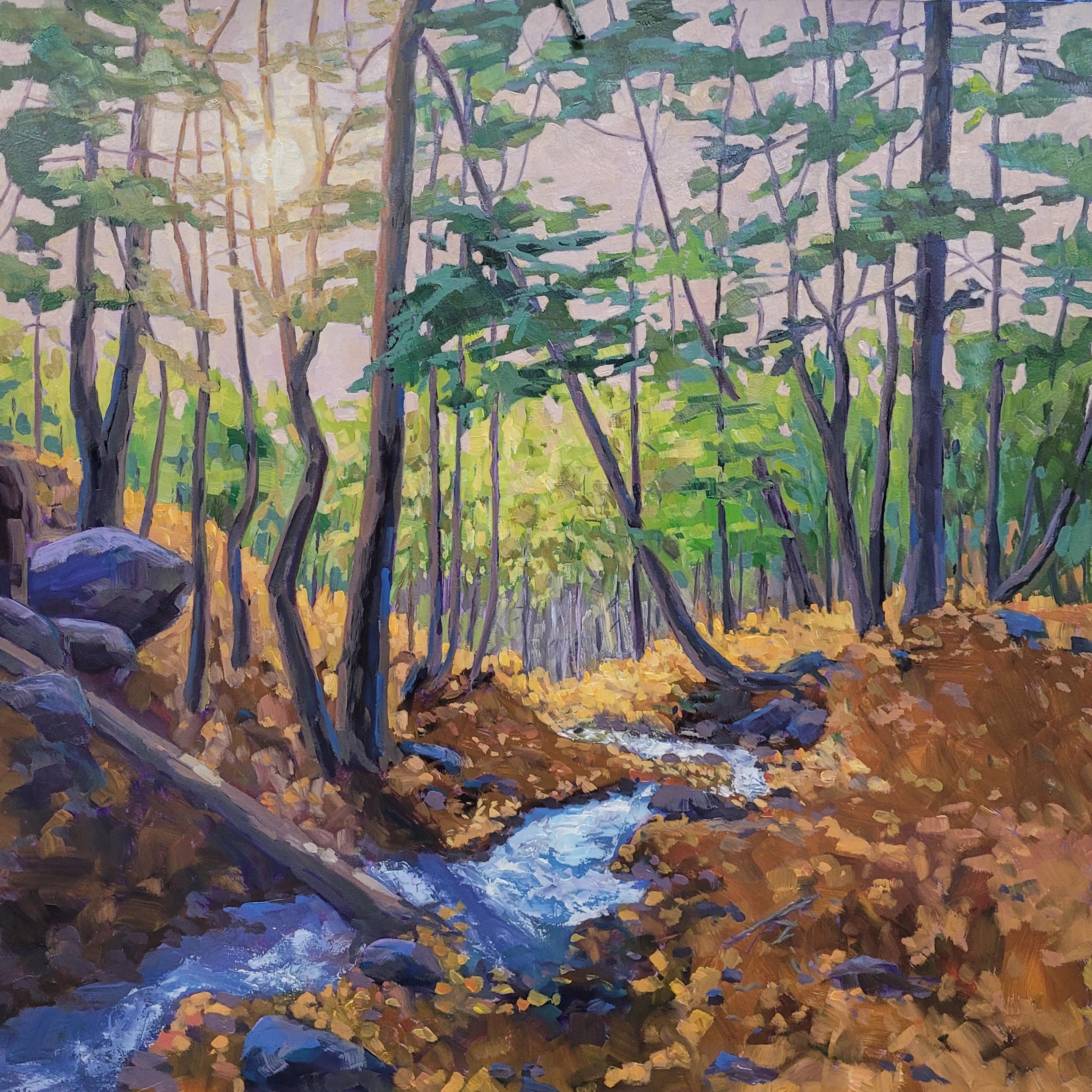 Barnum Creek downhill, 20x20