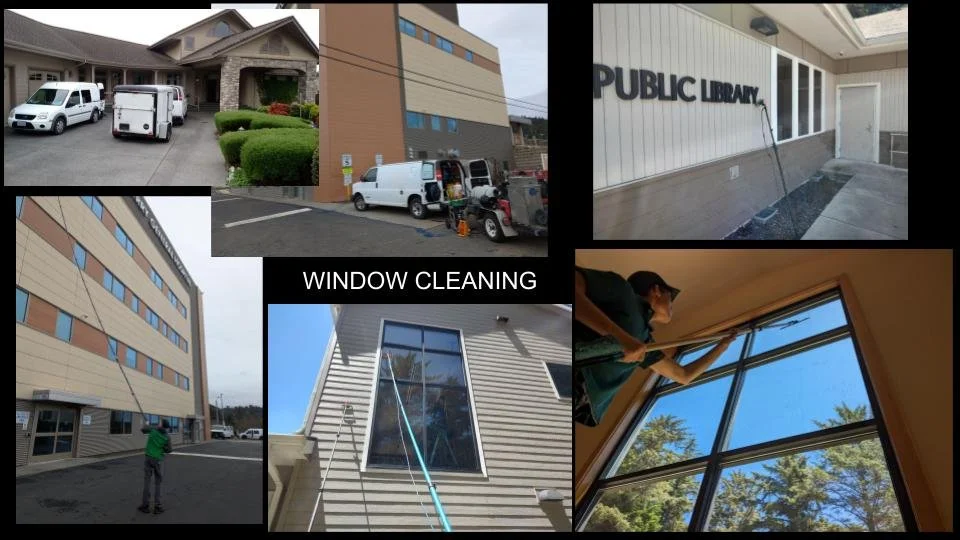 WINDOWS 2.jpg