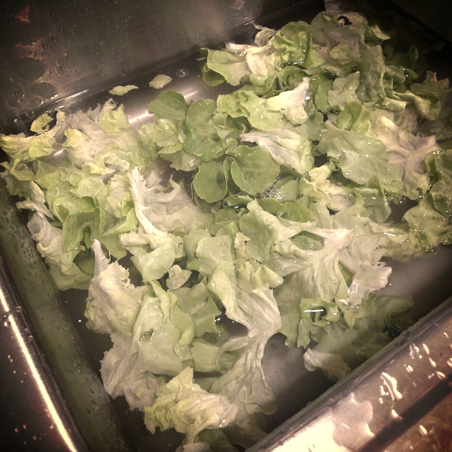 big sink o greens
