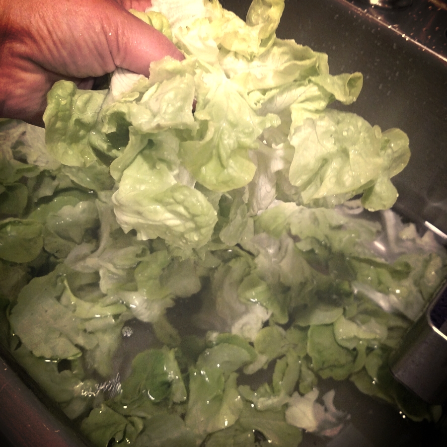 handful o greens