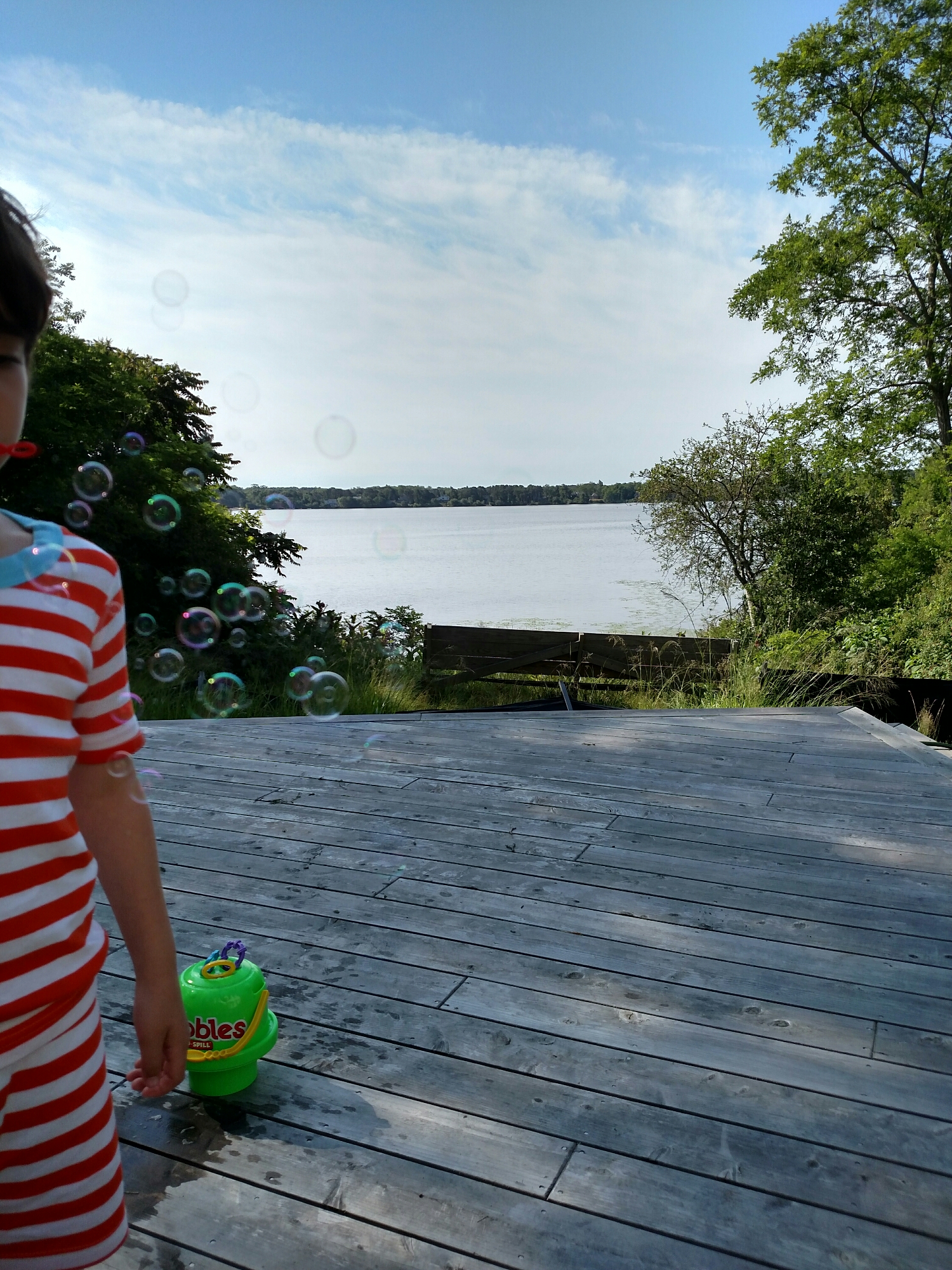bubbles! And pond!