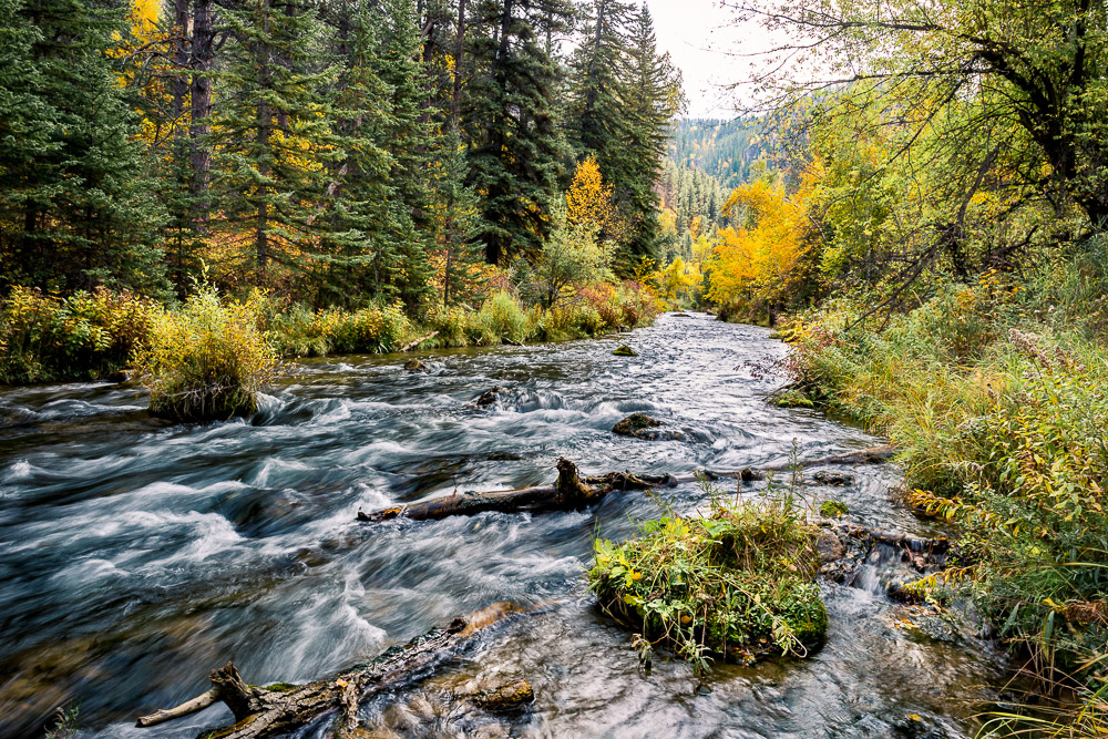 creek flowing through spearfish canyon with green and yellow trees (Copy)