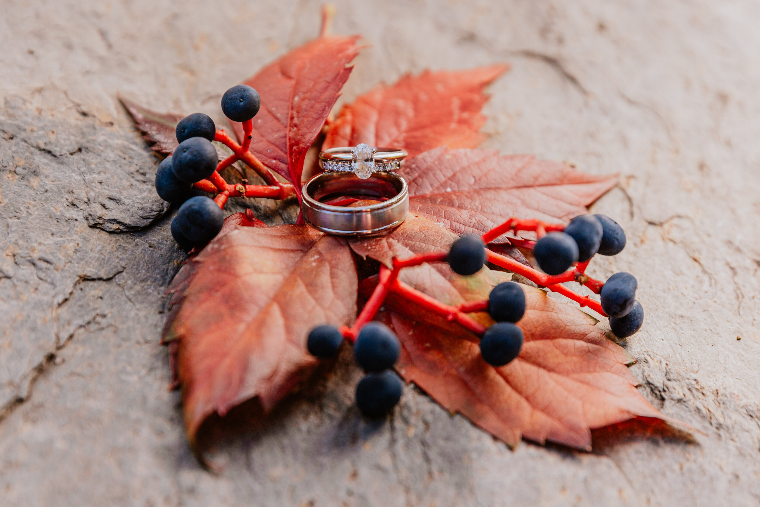 wedding rings on fall leaves (Copy)