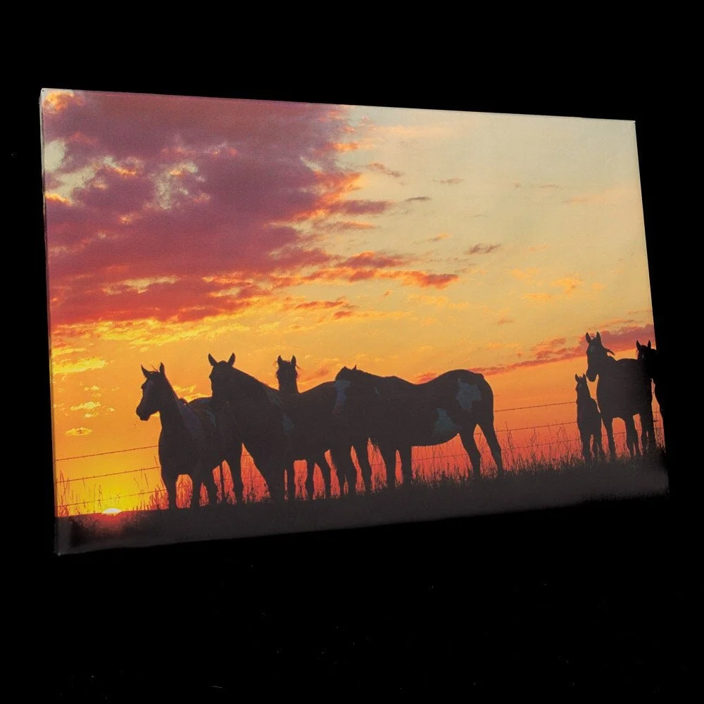Fine Art Western Sunset Horse Canvas — Maysa Oakly South Dakota Wedding  Photographer, image size:1000x1000