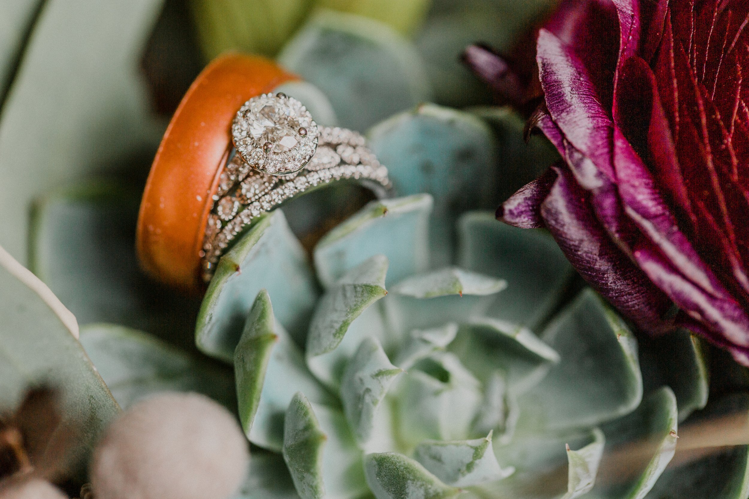 wedding ring on succulent (Copy)