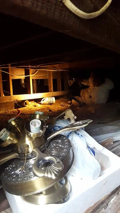 At Home Safe Inspections understands the importance of a well maintained crawlspace area and the effects to the rest of the structure. A close inspection of the crawlspace is an essential part of our complete general home inspection for pier and beam foundation. As shown in this picture of Diego inspecting a crawlspace