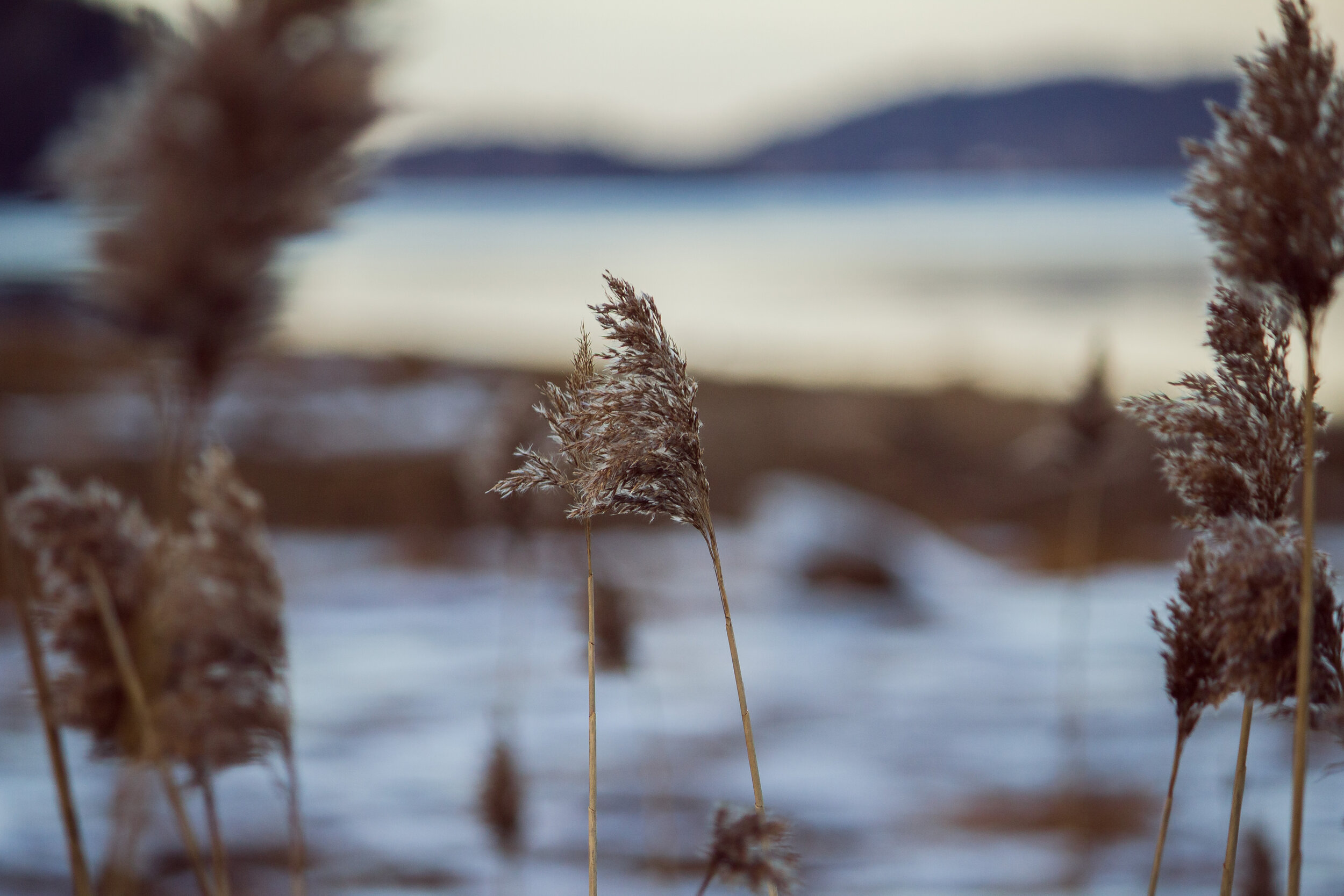 depression-counseling-point-pleasant-nj