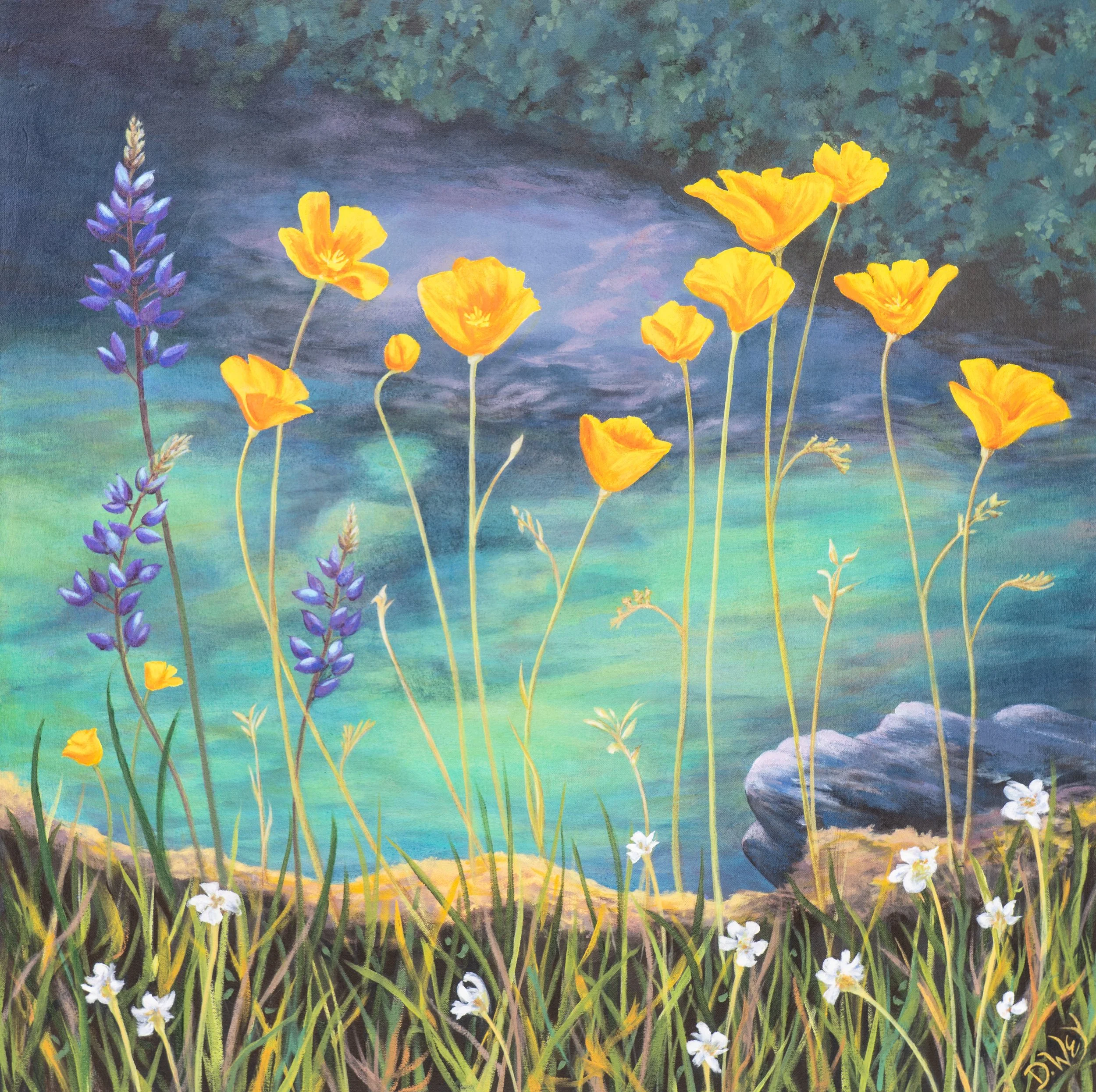 Yuba Poppies I