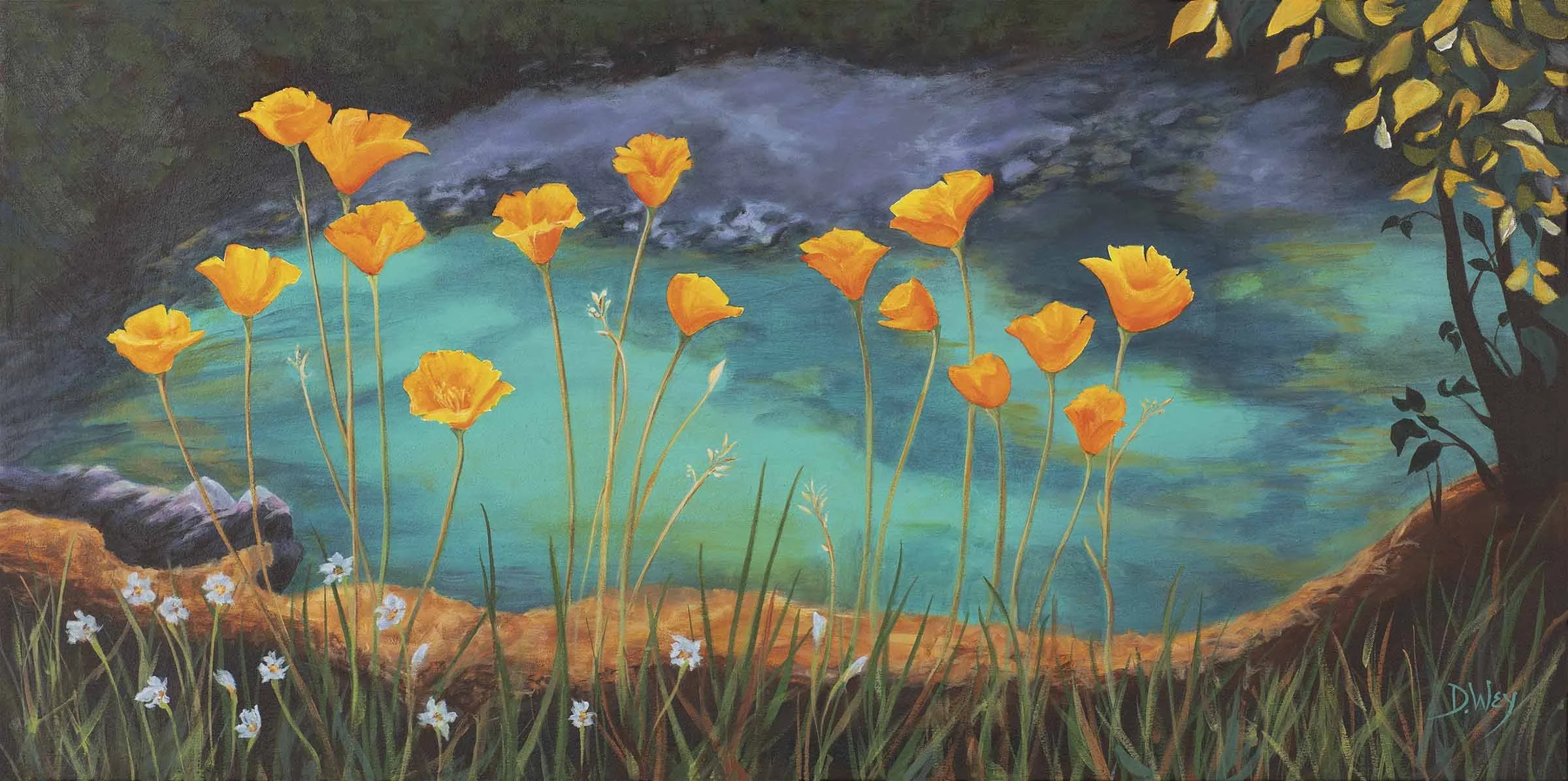 16 Poppies