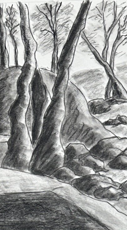 IMG_6598 3.JPG