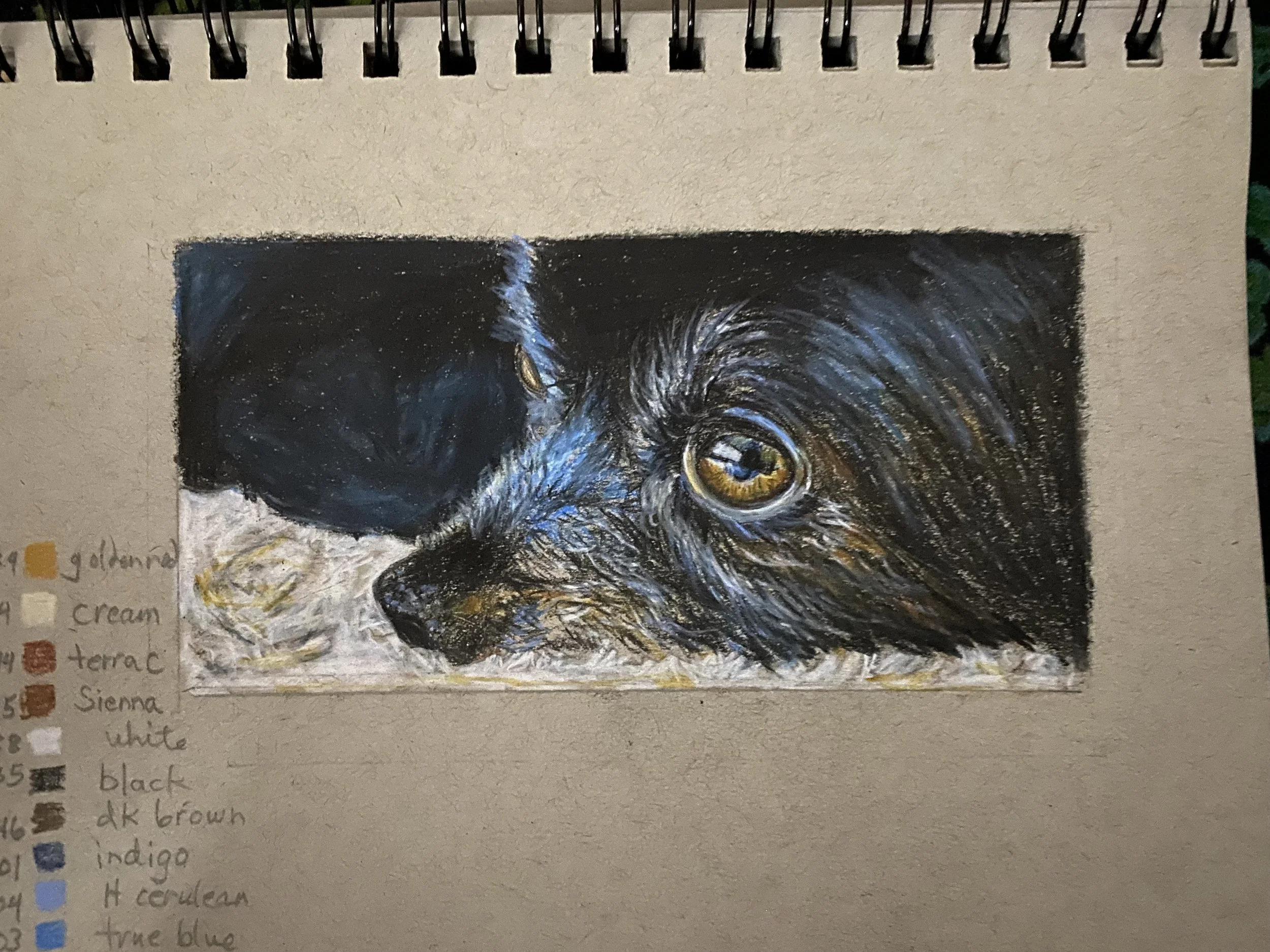 Calling All Beasties-Drawing our Pets - Nov 10, 17, 24 & Dec 1- 9:30 - 11:30 AM PT on Zoom