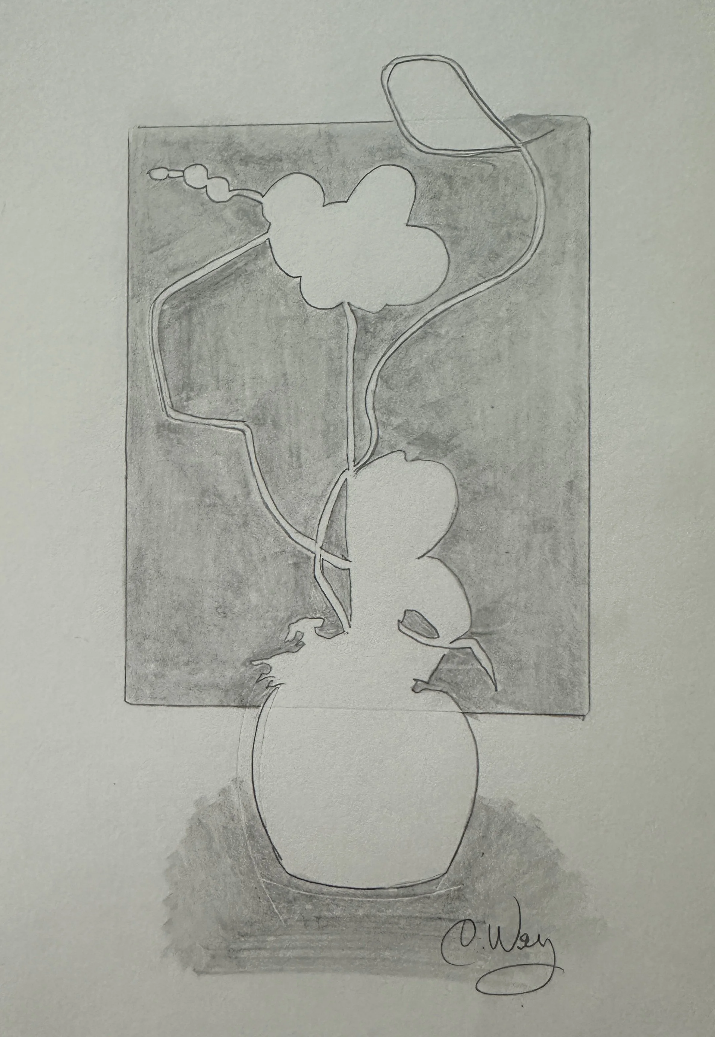 contour drawing example