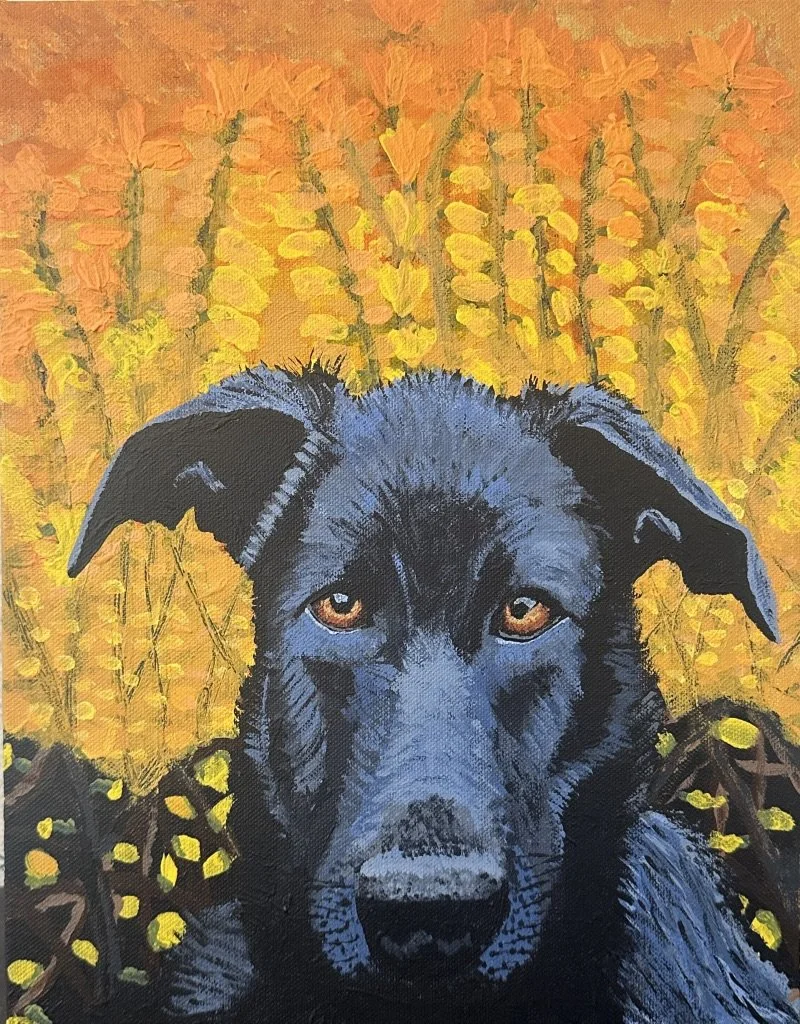 Acrylic Painting with Eileen Blodgett & Denise Wey Jan 11, 18, 25 & Feb 1, 2026