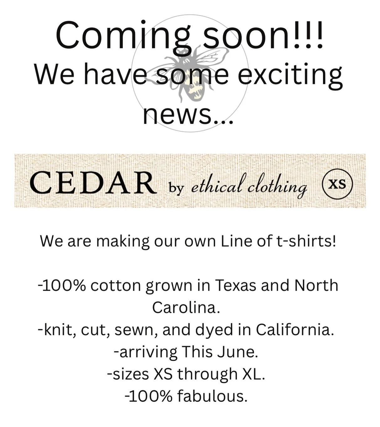 I'm so excited to finally get to share with you what I've been thinking about doing for a very long time!  We will be debuting our very own label next month! CEDAR by ethical clothing. To start, we've chosen a basic tee in short and long sleeves, and
