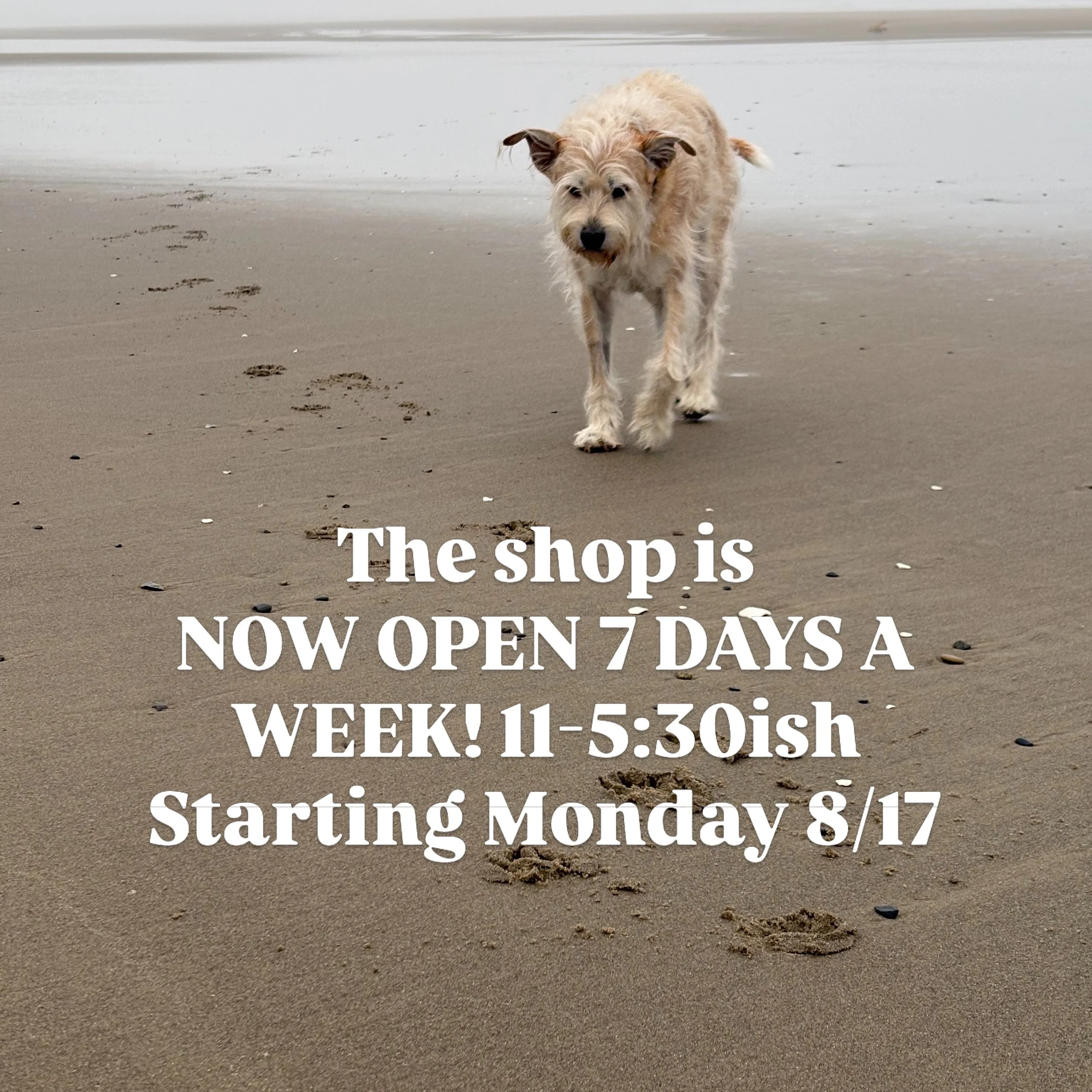 Starting THIS MONDAY, we will be OPEN all seven days 11-5:30ish. #7daysaweek #shophours #boutiqueshopping #downtownpetaluma #shoppetaluma