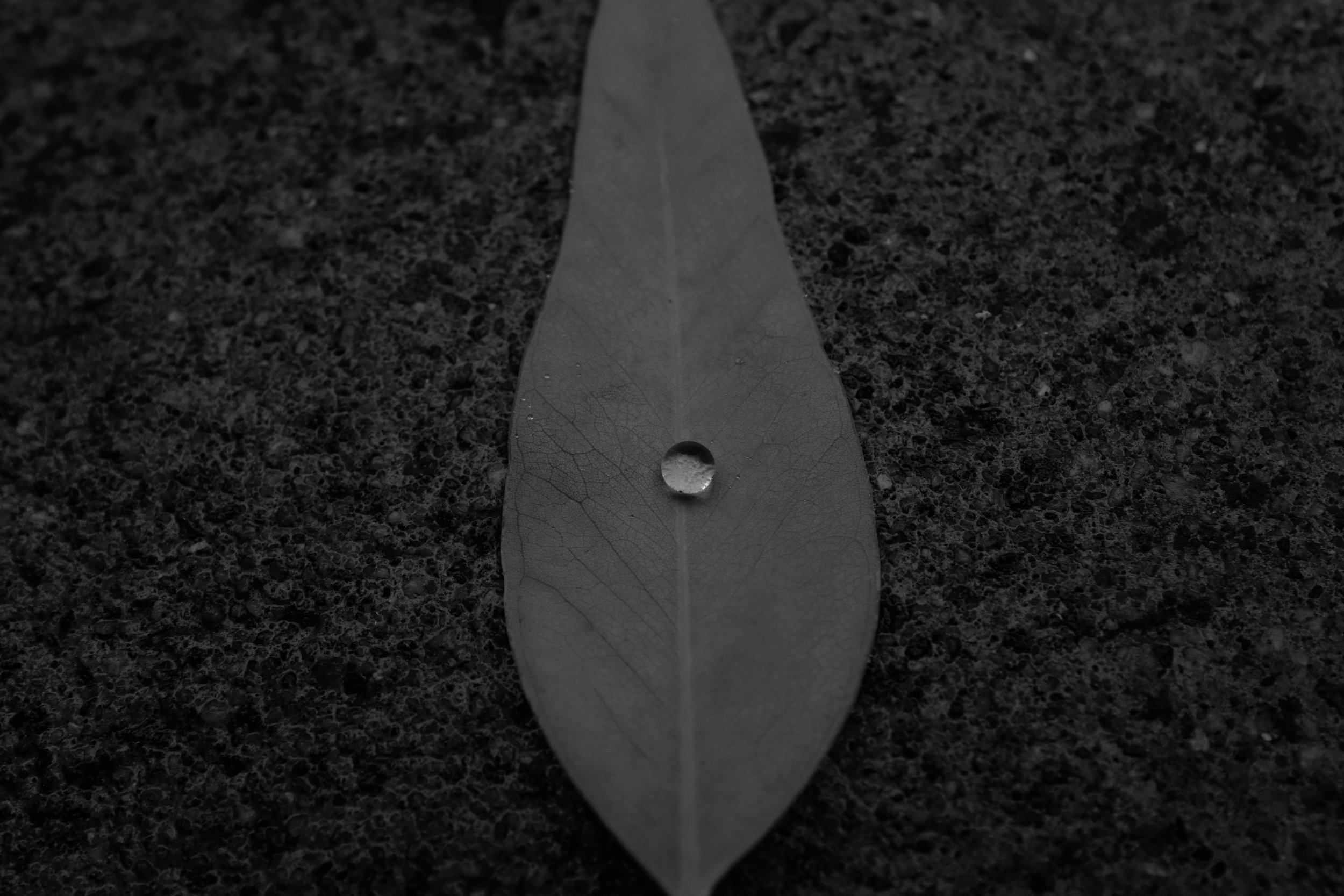 DSCF5431.JPG