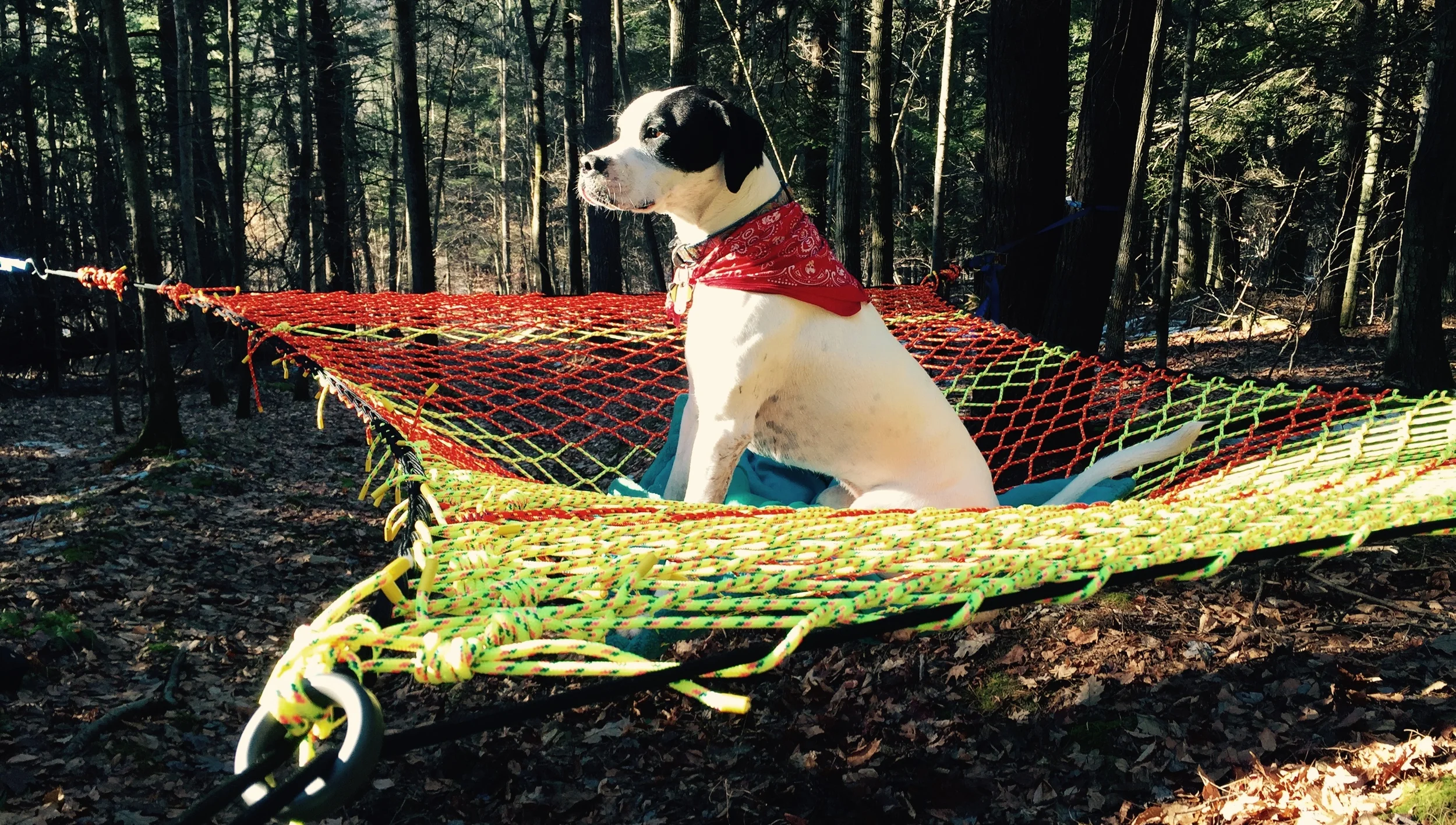 First Generation Sky-Deck. The dog's name is Pongo. He's also a fan of Sky-Decks.