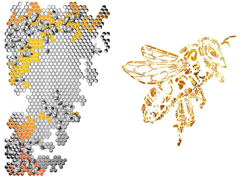 EiBO Gear_Bees_4kick_2.jpg