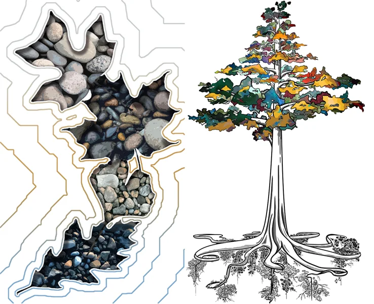 Trees!.jpg