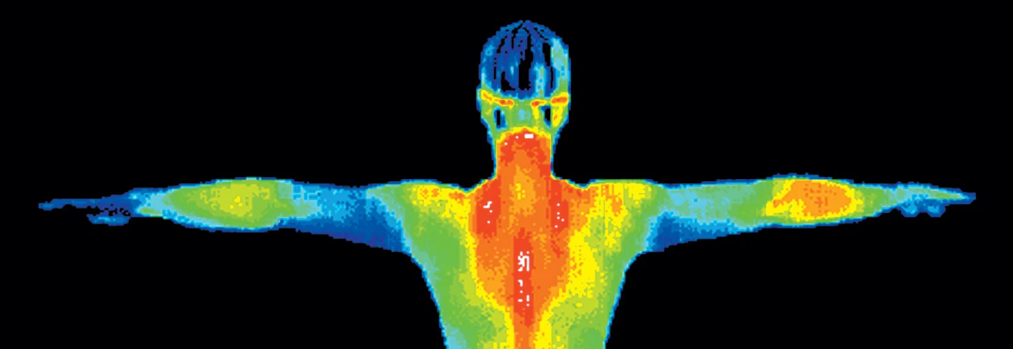 Heat Map Upper Body.jpg