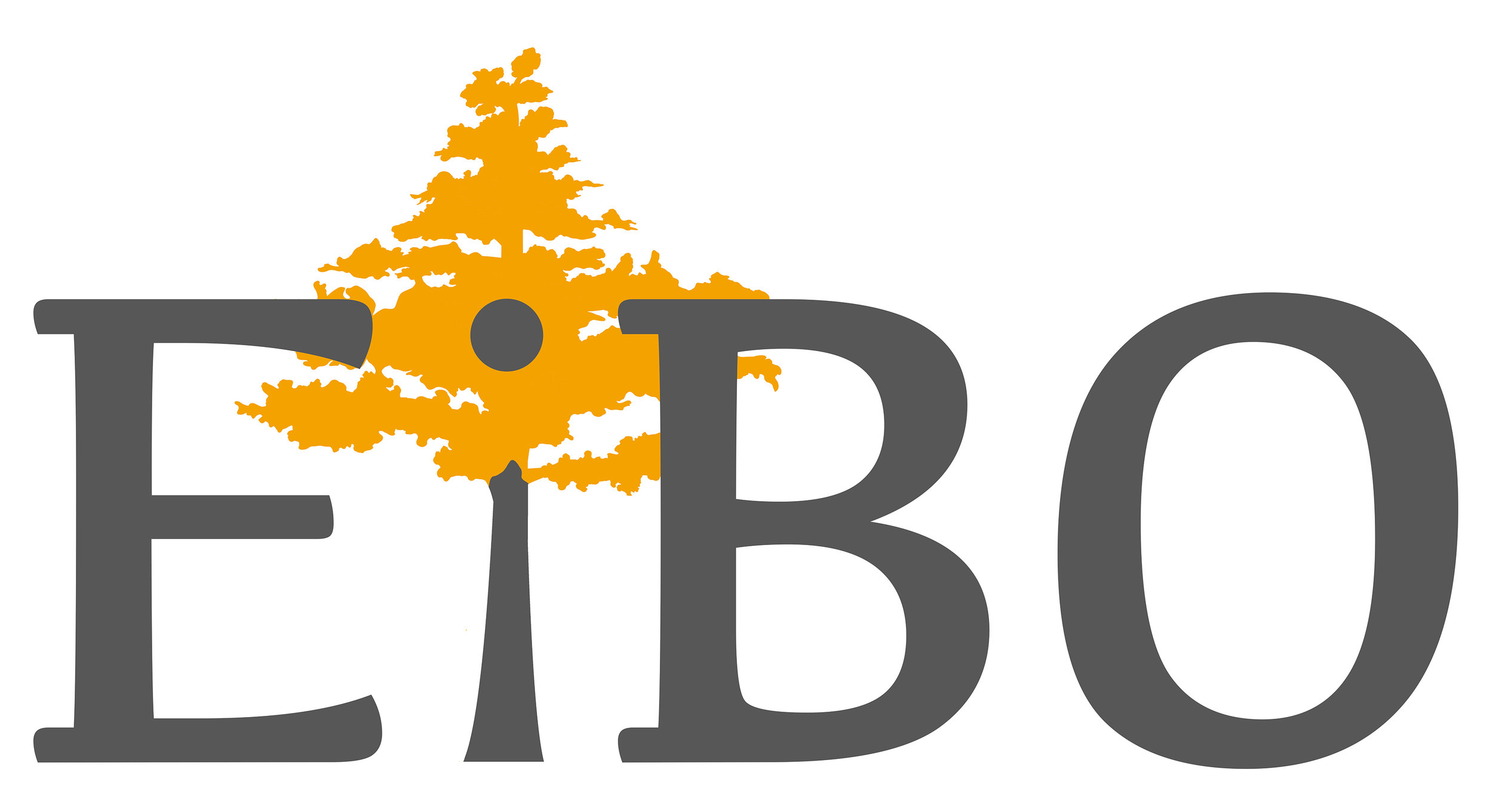 EiBO LOGO_3_small.jpg