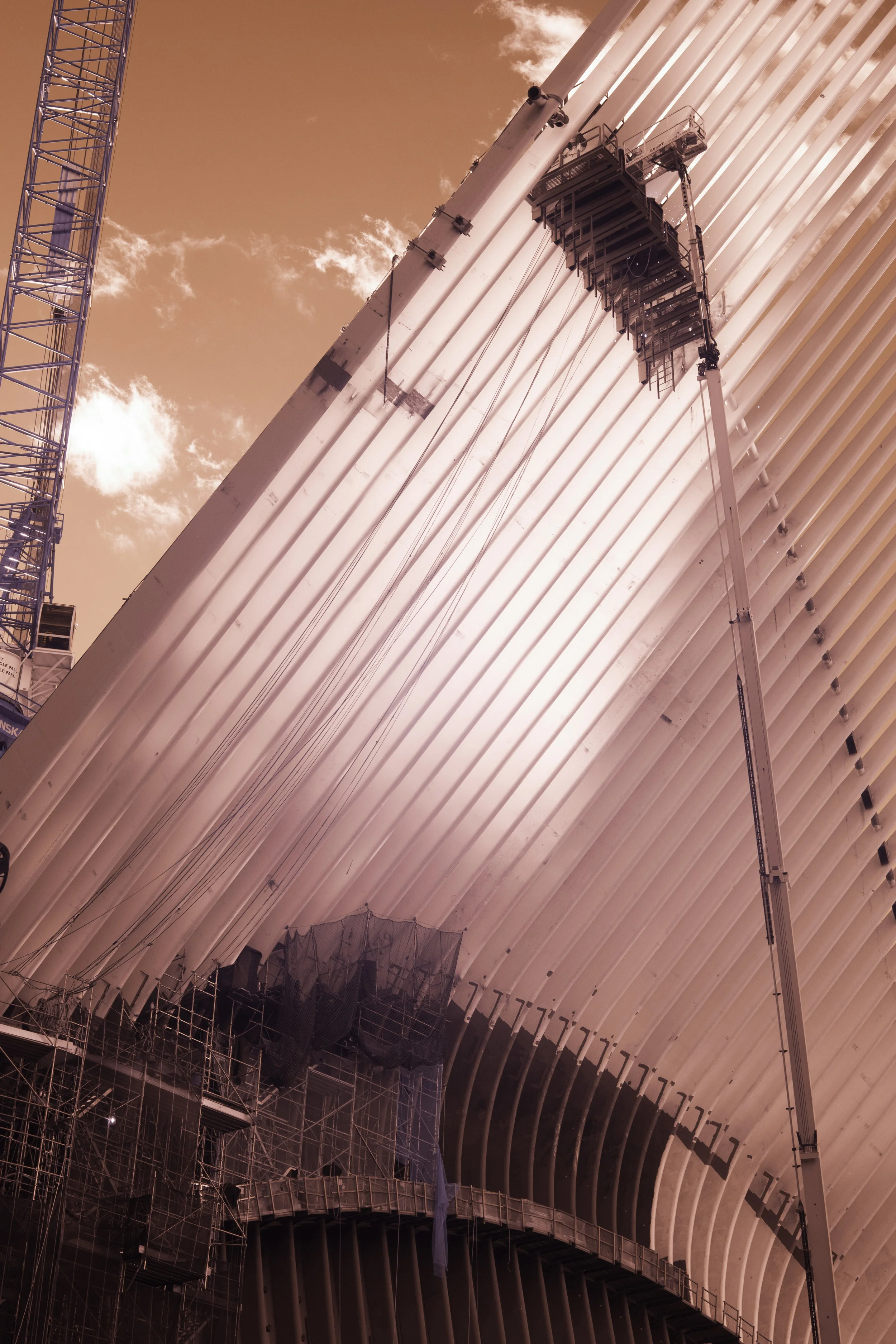 infrared-77-2.jpg
