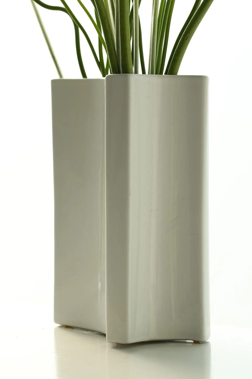 flowers_vase.jpg