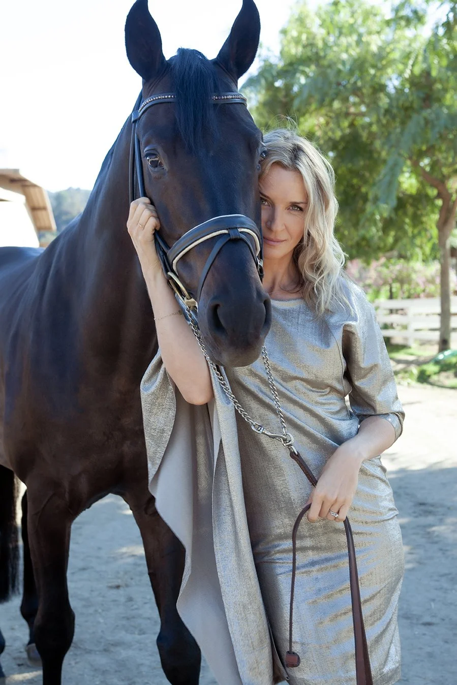 ever_6443_silverhorse copy.jpg