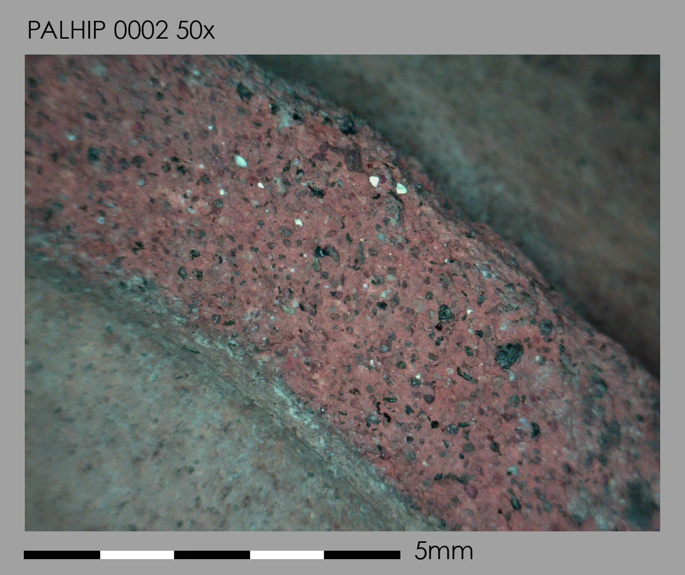 PALHIP0002_50x_view1.jpg