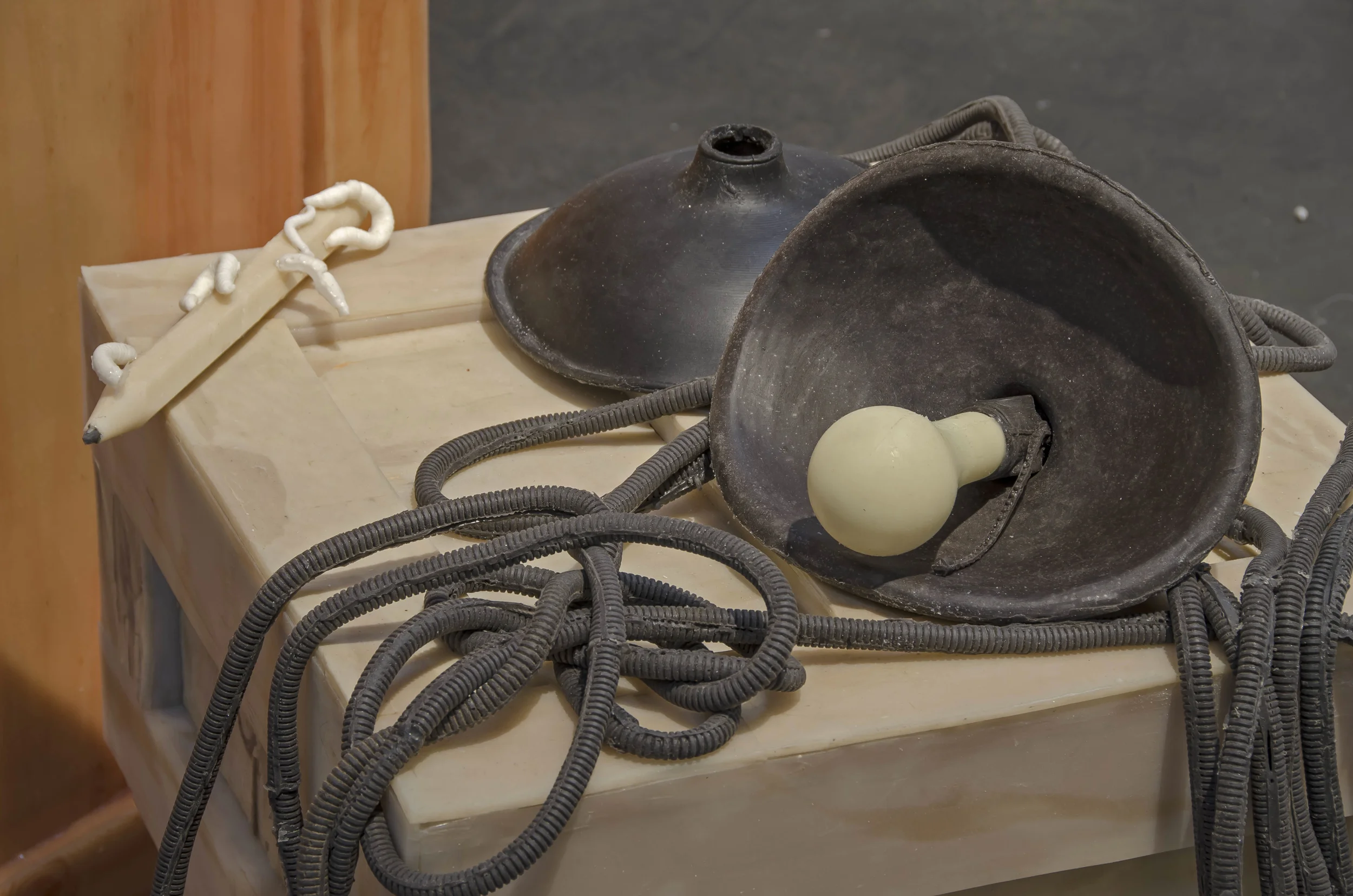 svevos pencil alana.jpg