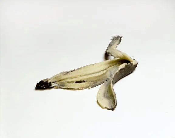 Banana Peel, 2007 rubber