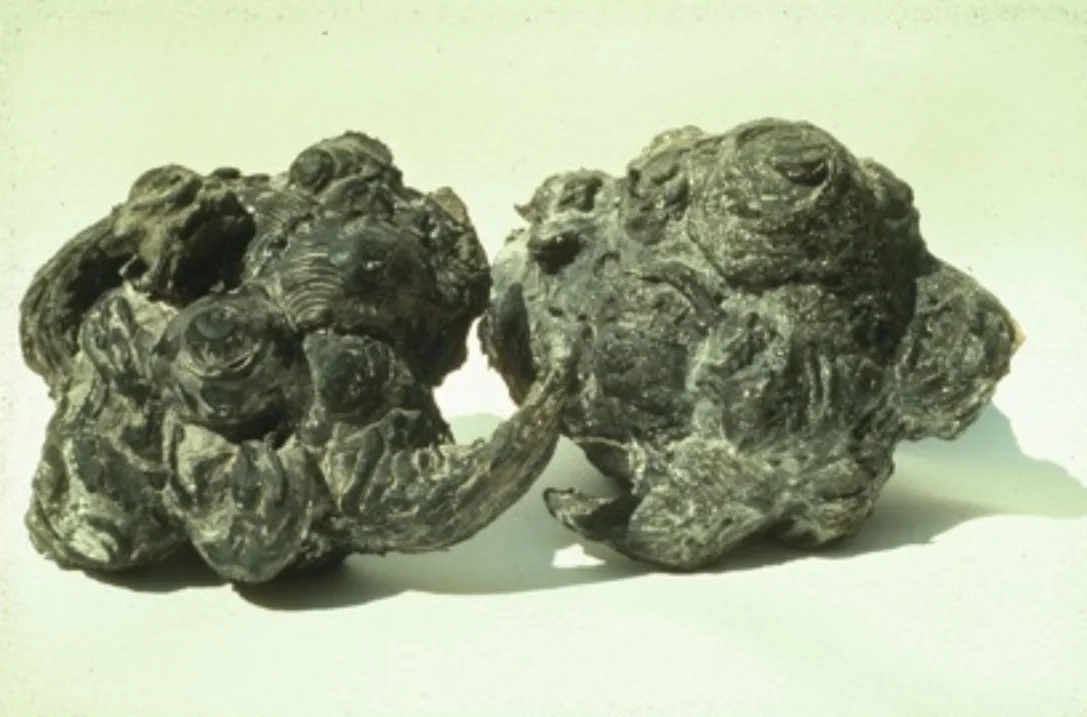 two thought clouds.jpeg