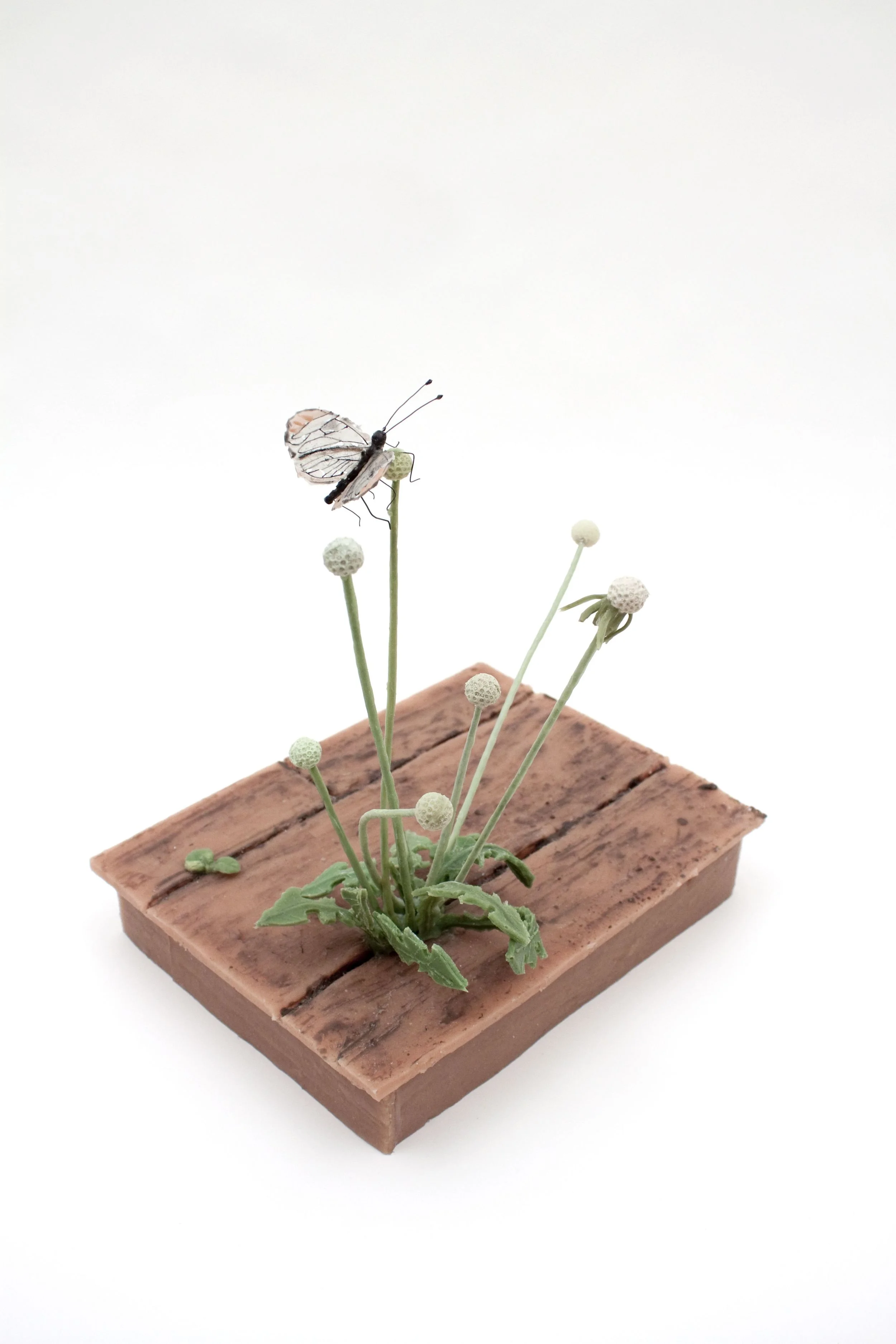 studio floor with butterfly.jpg