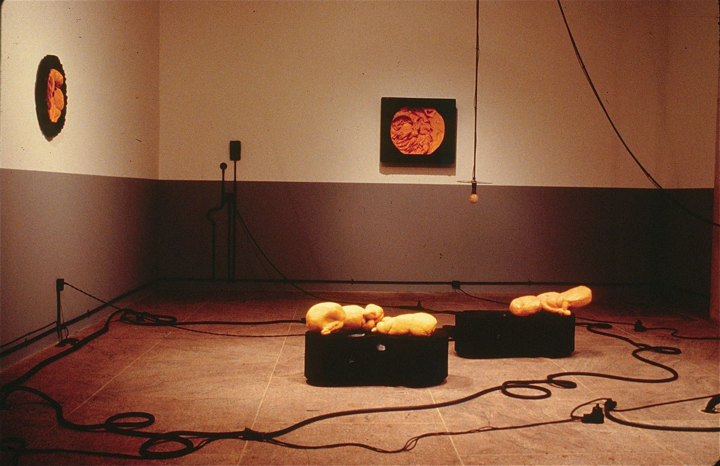 011.jpg