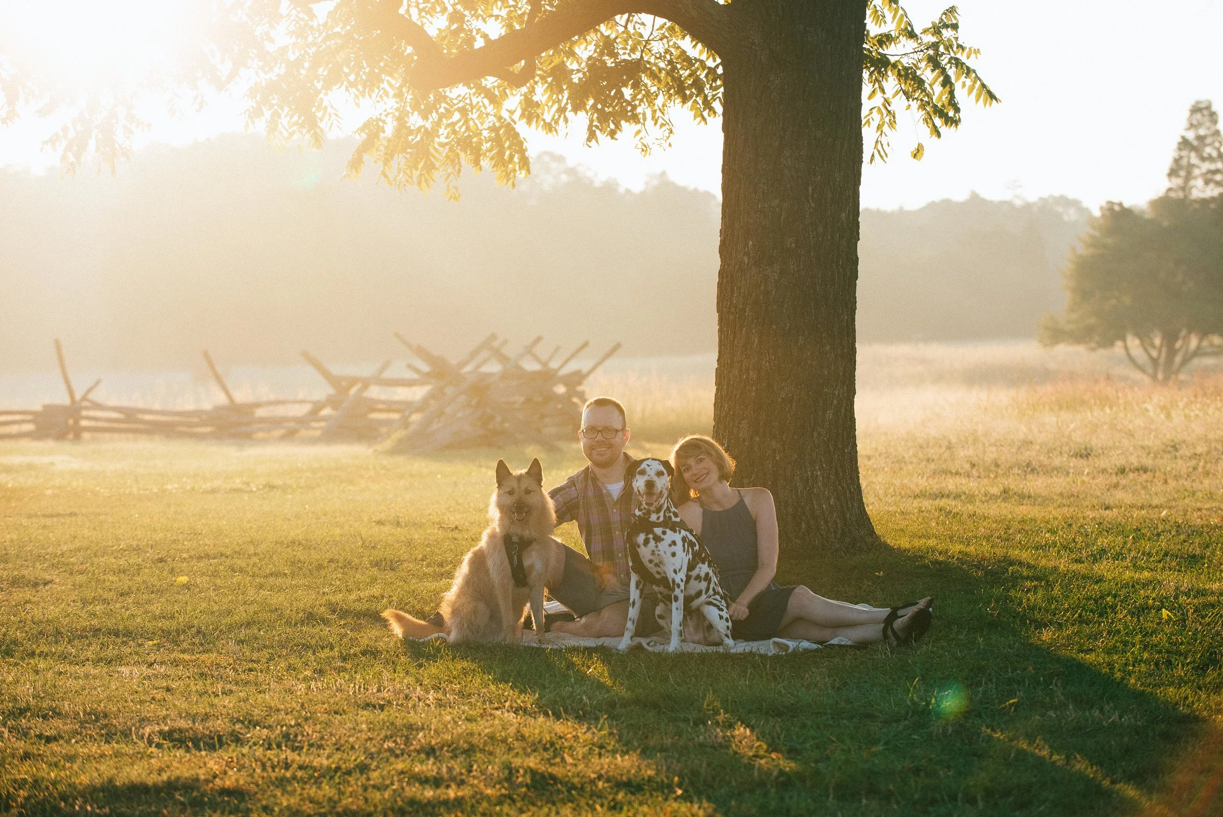 Manassas Battlefield engagement photos with pets