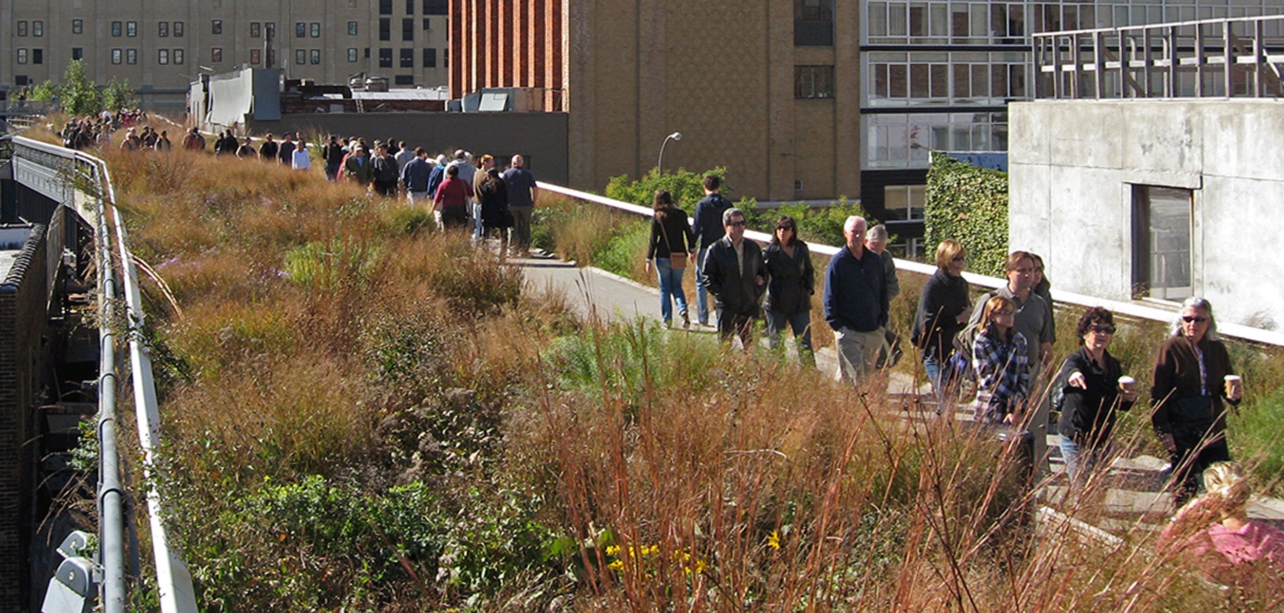 The High Line