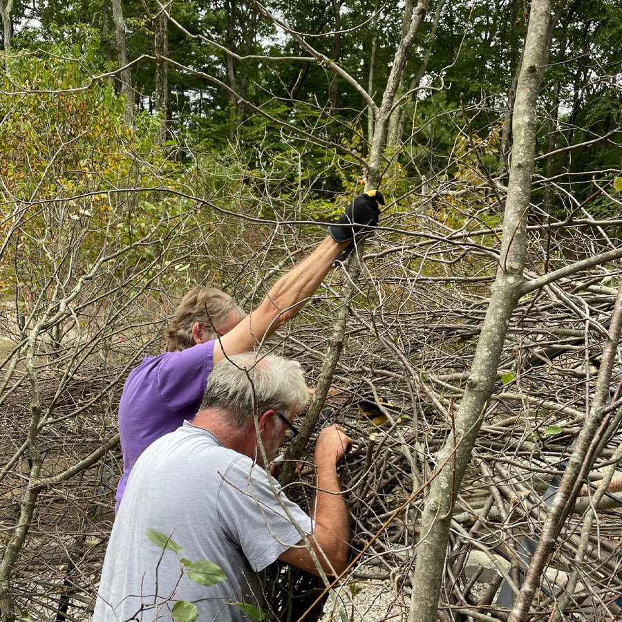 The Brush Pile