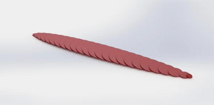 Sliced discs of rubber ball spread out.