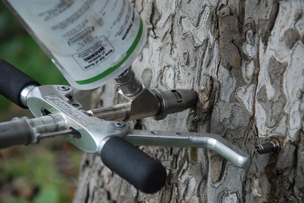 Tree Injections