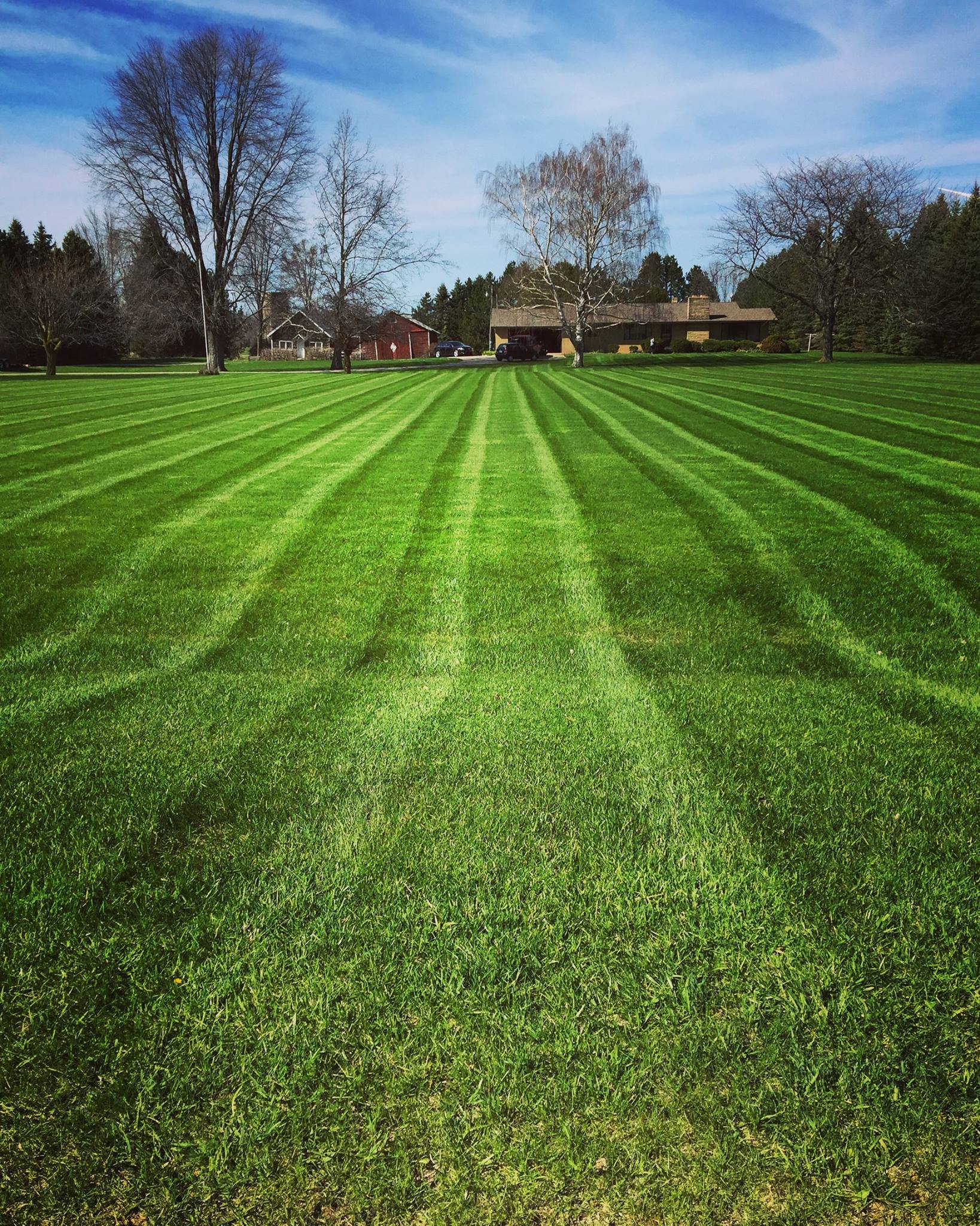 Esch Landscaping Lawn Maintenance.jpg