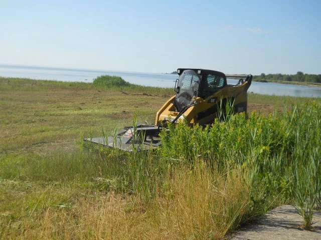 Esch Landscaping Brush Hogging.jpg