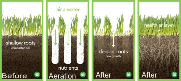 aeration chart.png