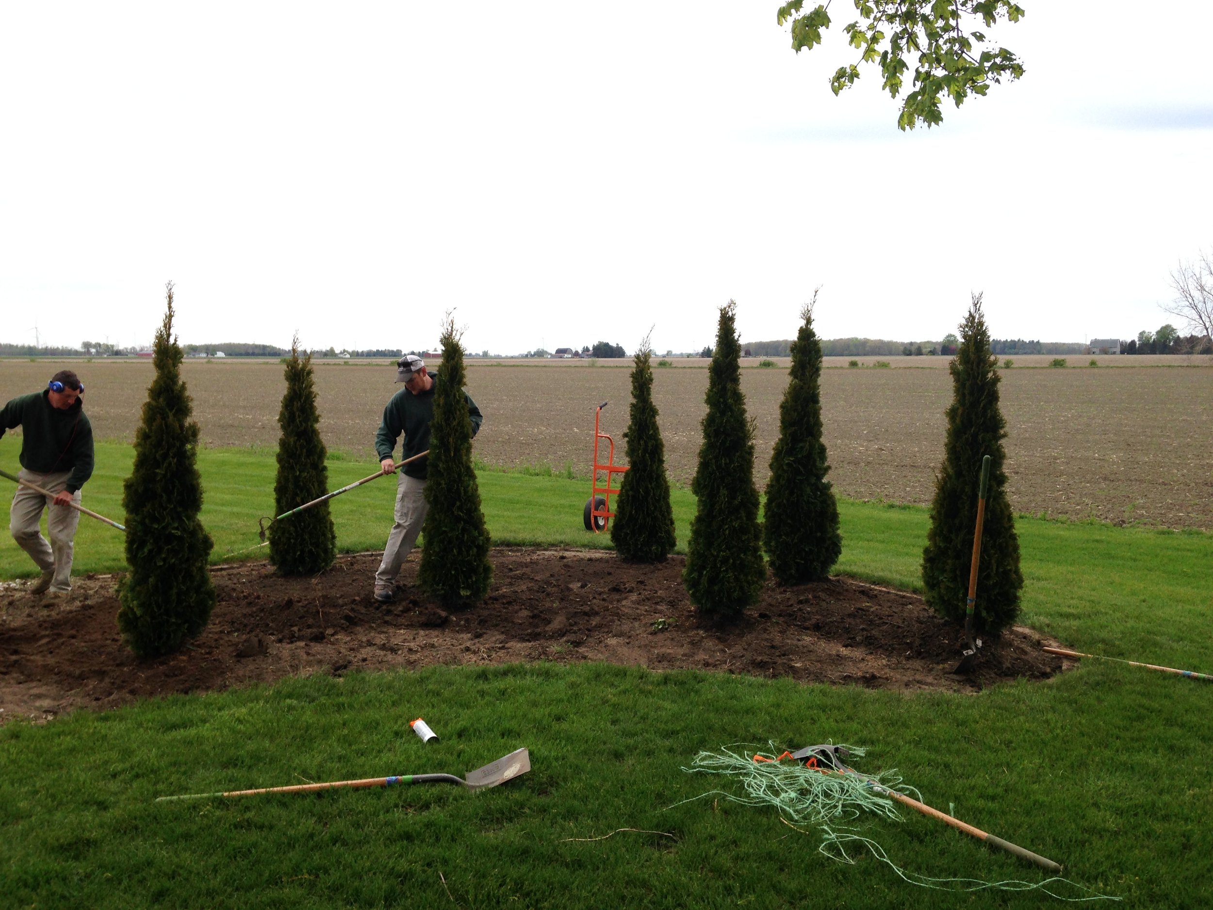 Sting - Tree Planting.jpeg