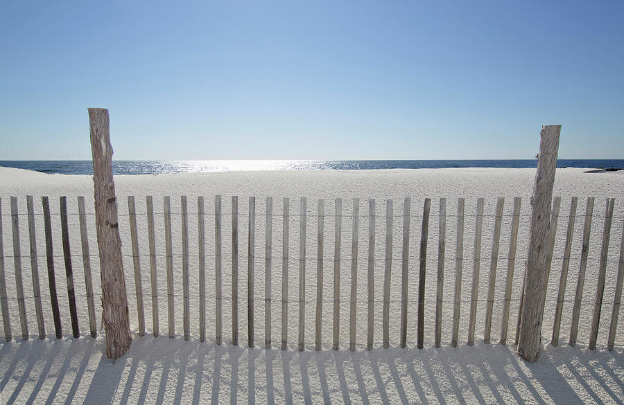 sand-fence.jpg