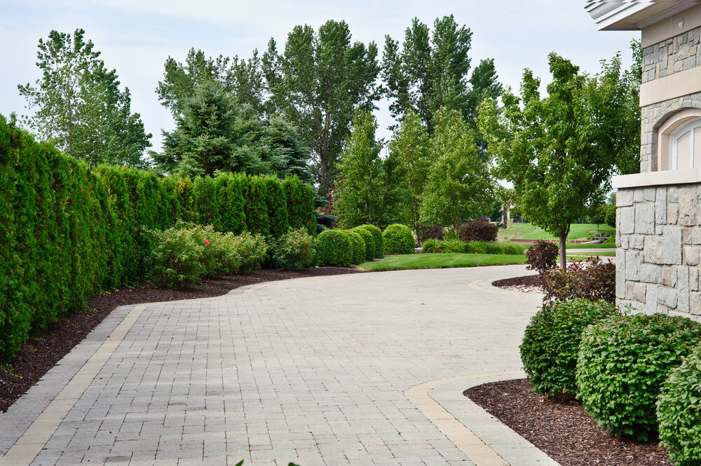 Esch Landscaping - Brick Pavers - Paver Driveway with Privacy.jpg