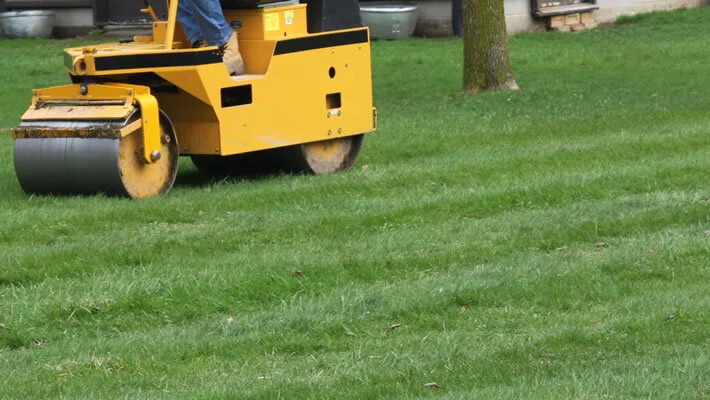 lawn-rolling (1).jpg